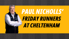 Paul Nicholls Betfair exclusive runners preview